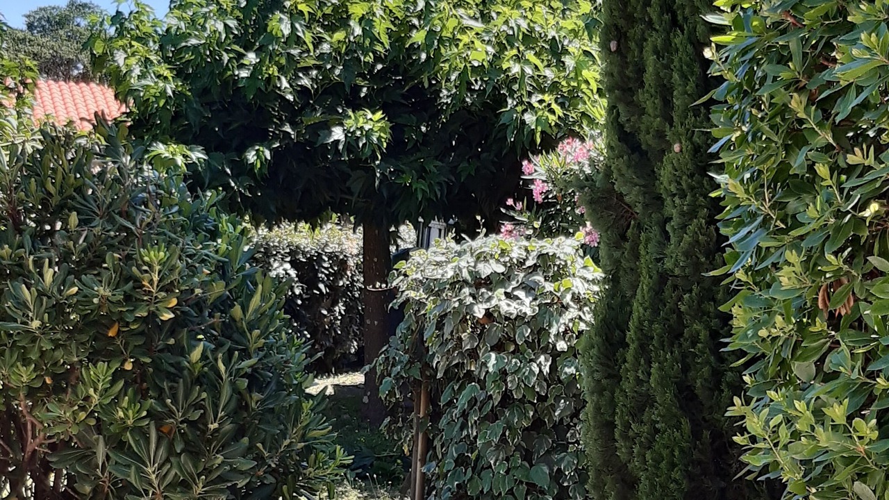 Photo of Outdoor in Sorede