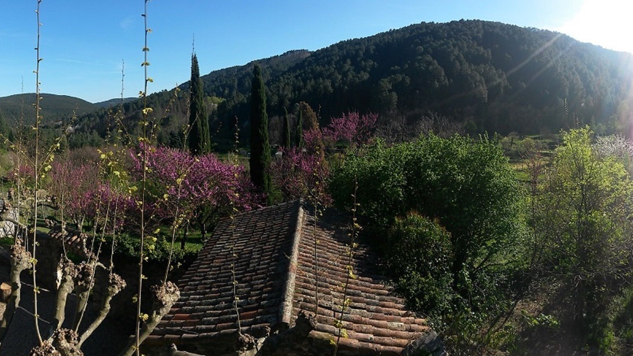 Photo of Others in Branoux-les-Taillades