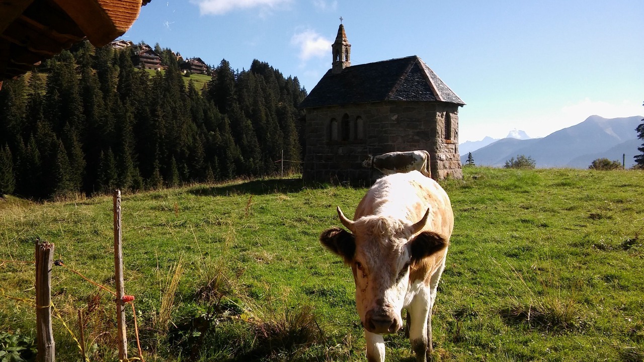 Photo of Outdoor in Val d'Illiez
