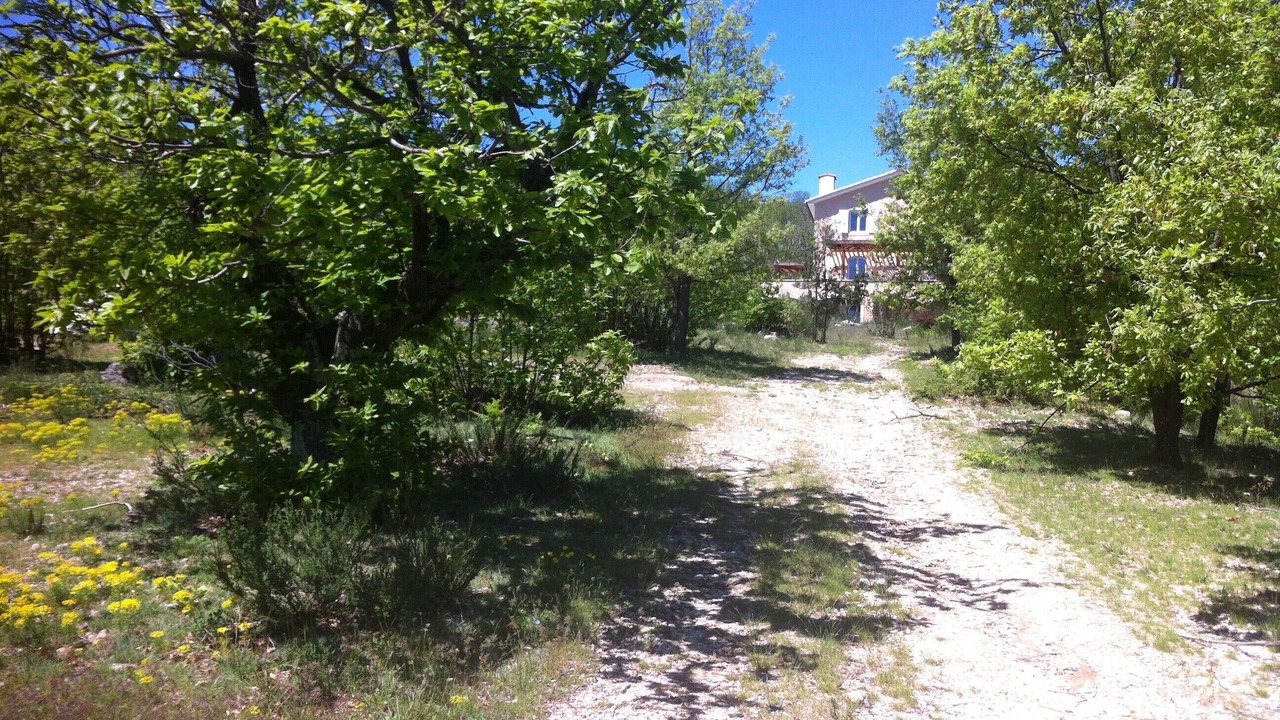 Photo of Outdoor in Colognac