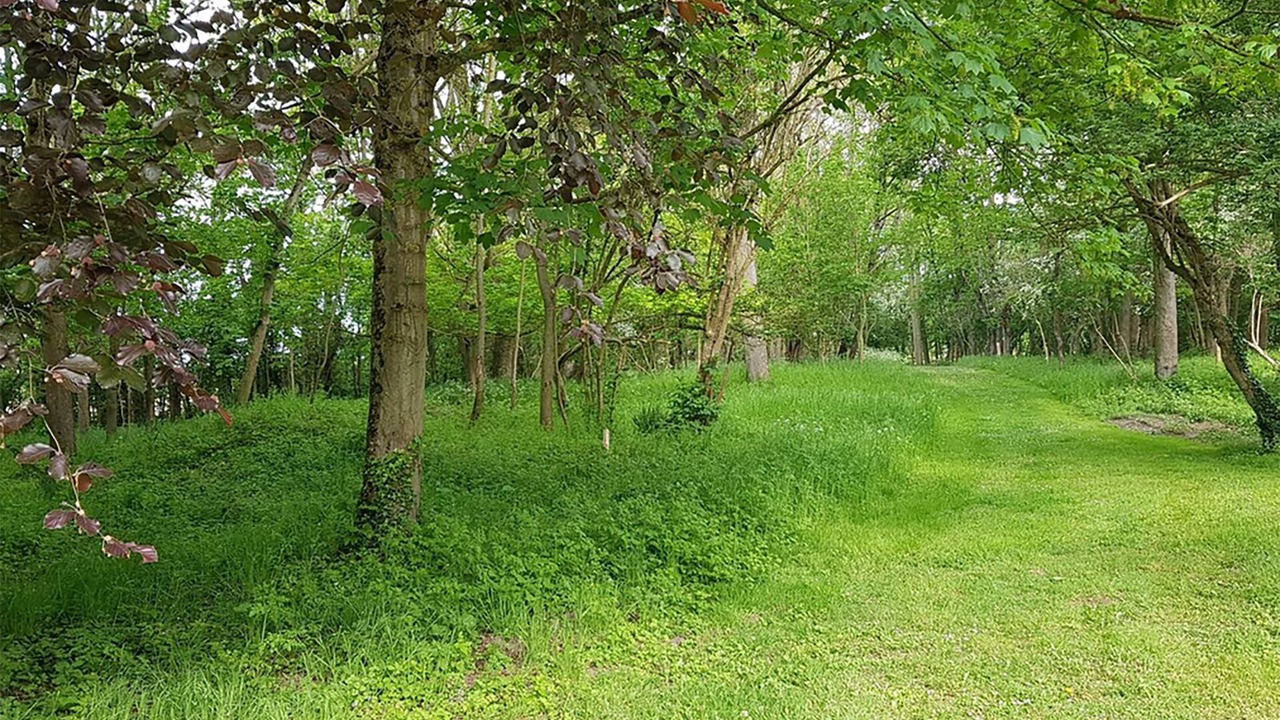 Photo of Outdoor in Cayeux-sur-Mer