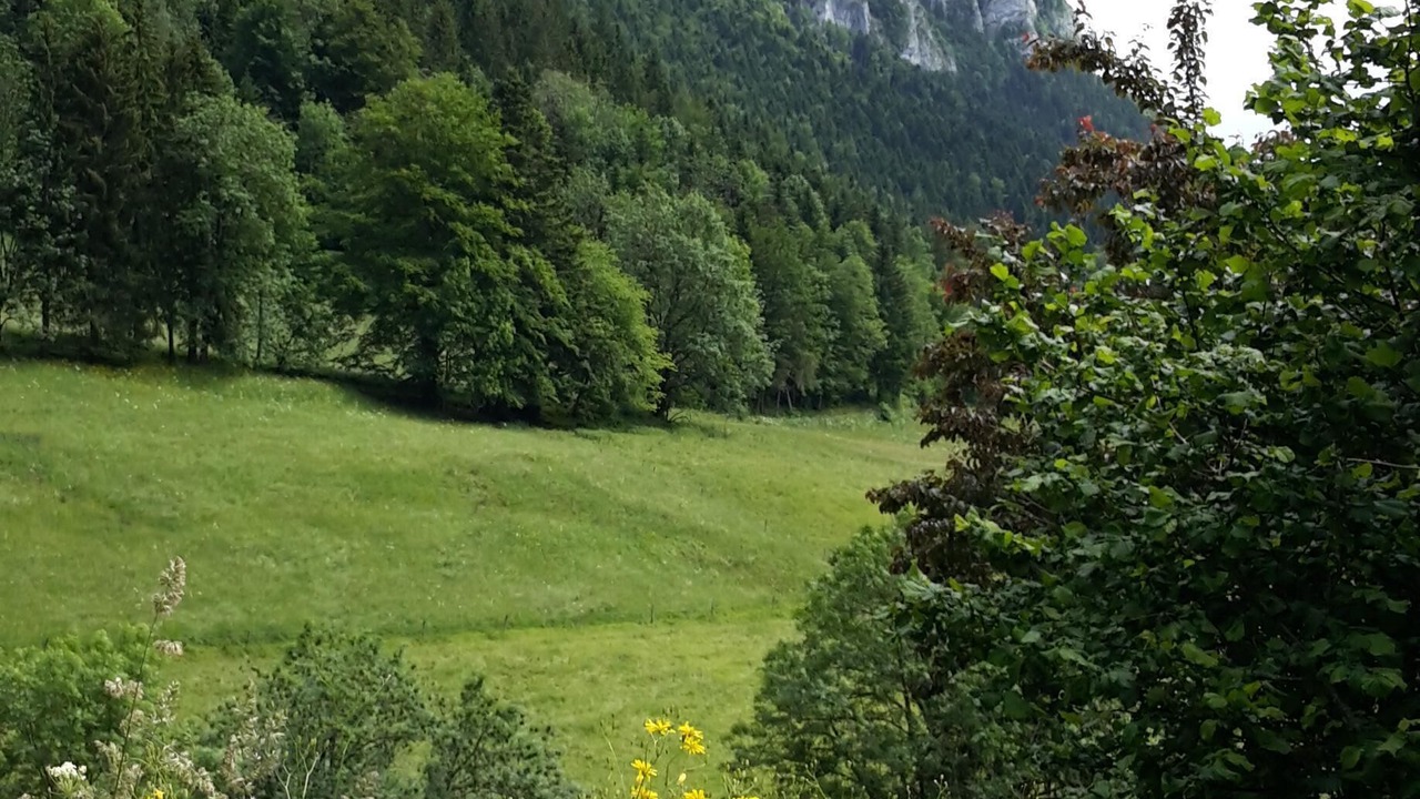 Photo of Outdoor in Corbel