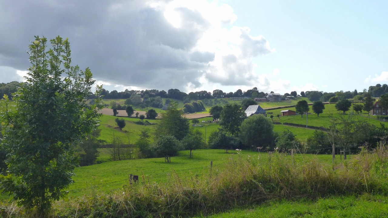 Photo of Outdoor in Cuigy-en-Bray