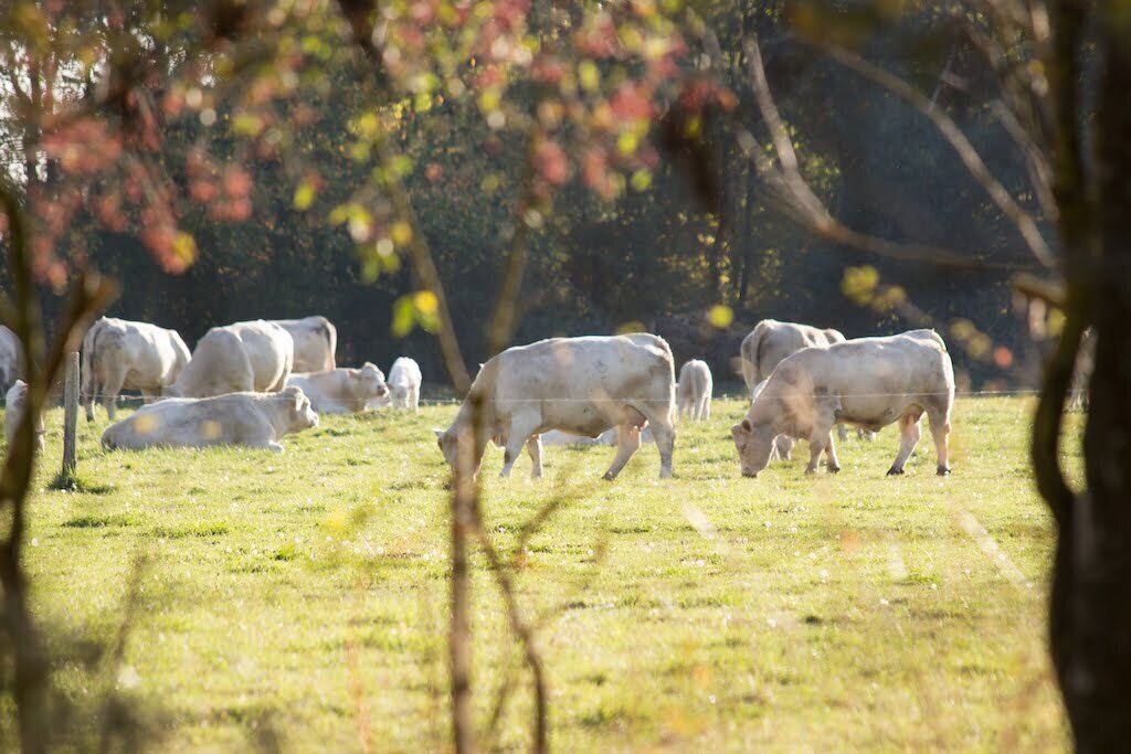 Photo of Outdoor in Le Poislay