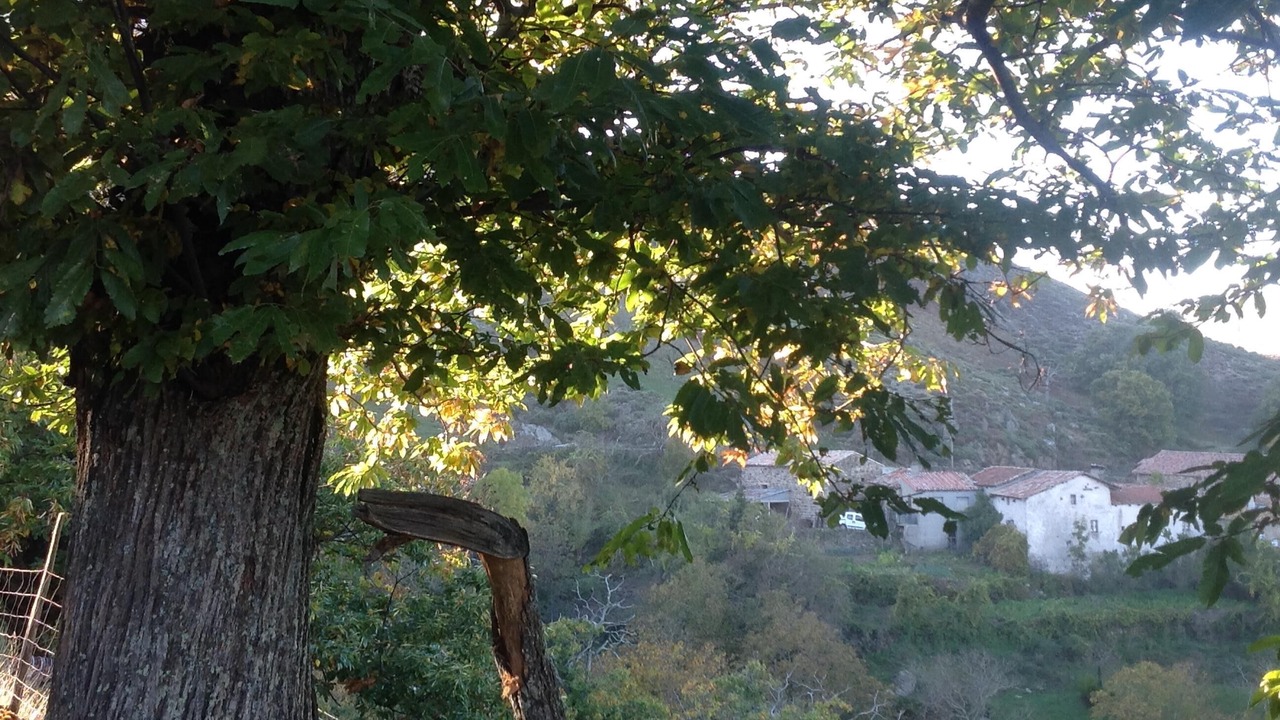 Photo of Outdoor in Saint-Julien-du-Gua