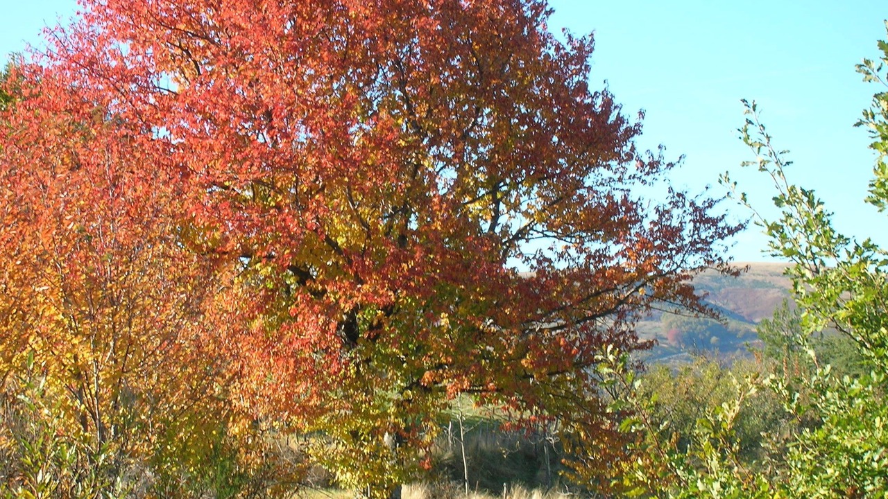 Photo of Outdoor in Saint-Julien-du-Gua