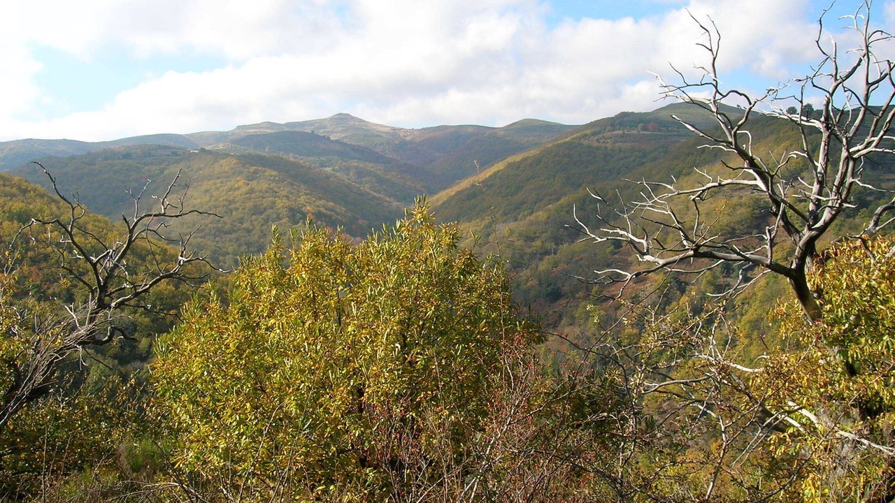 Photo of Outdoor in Saint-Julien-du-Gua