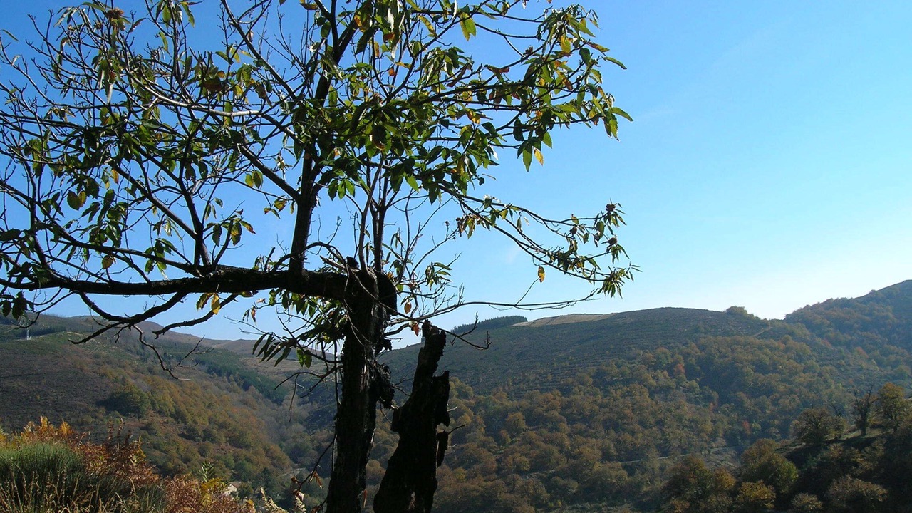 Photo of Outdoor in Saint-Julien-du-Gua