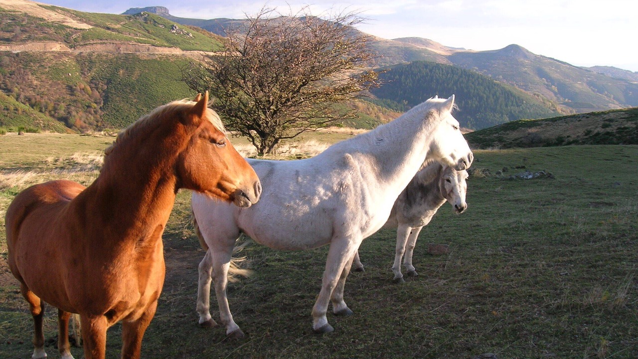 Photo of Outdoor in Saint-Julien-du-Gua