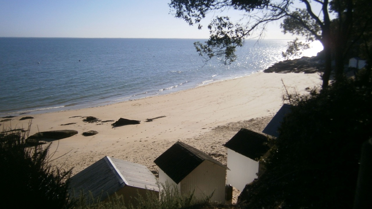 Photo of Others in Noirmoutier-en-l'Ile