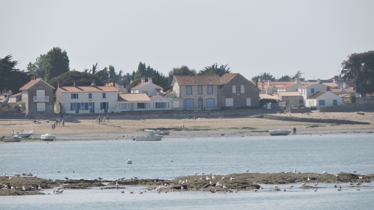 Photo of Others in Noirmoutier-en-l'Ile