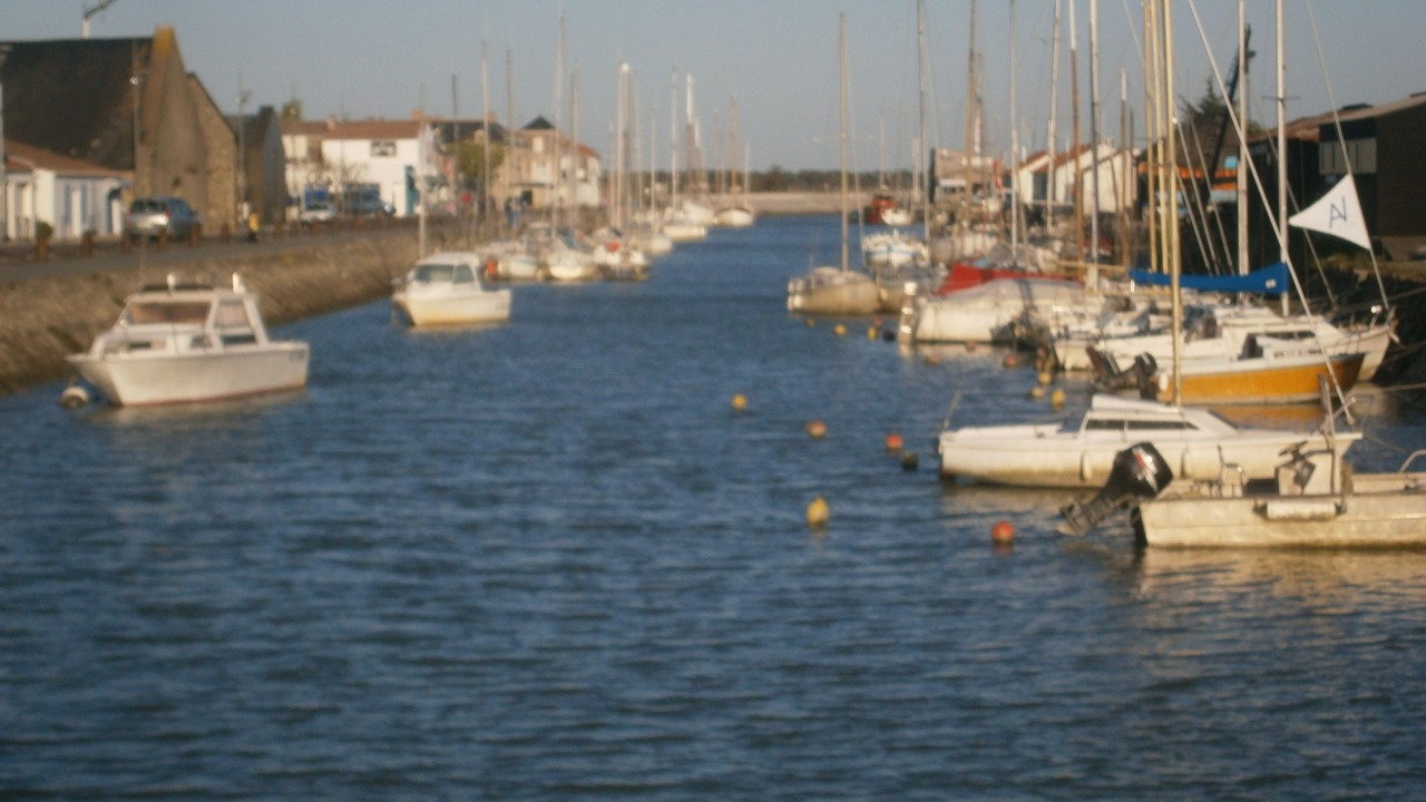 Photo of Others in Noirmoutier-en-l'Ile