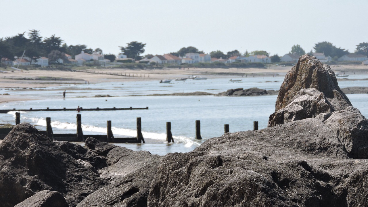 Photo of Others in Noirmoutier-en-l'Ile