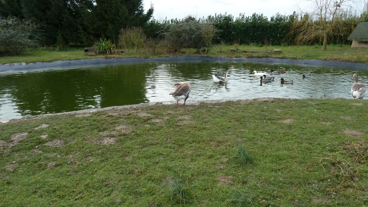 Photo of Outdoor in Montaure