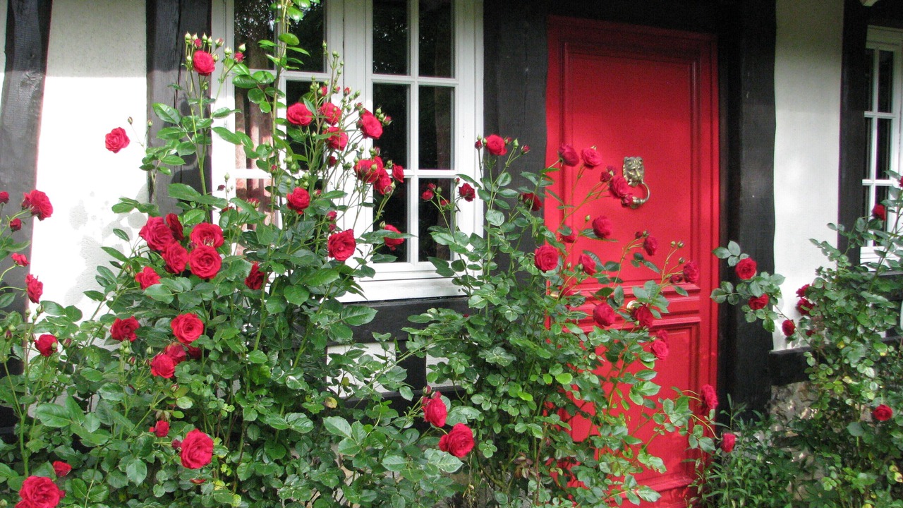 Photo of Outdoor in Montaure