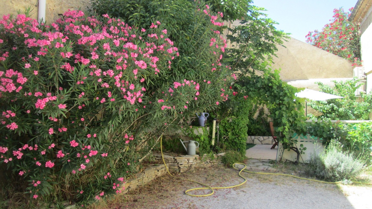 Photo of Outdoor in Puisserguier