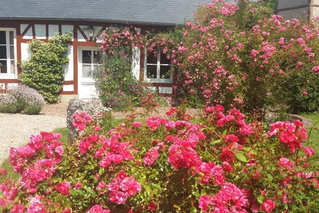 Photo of Outdoor in Yport