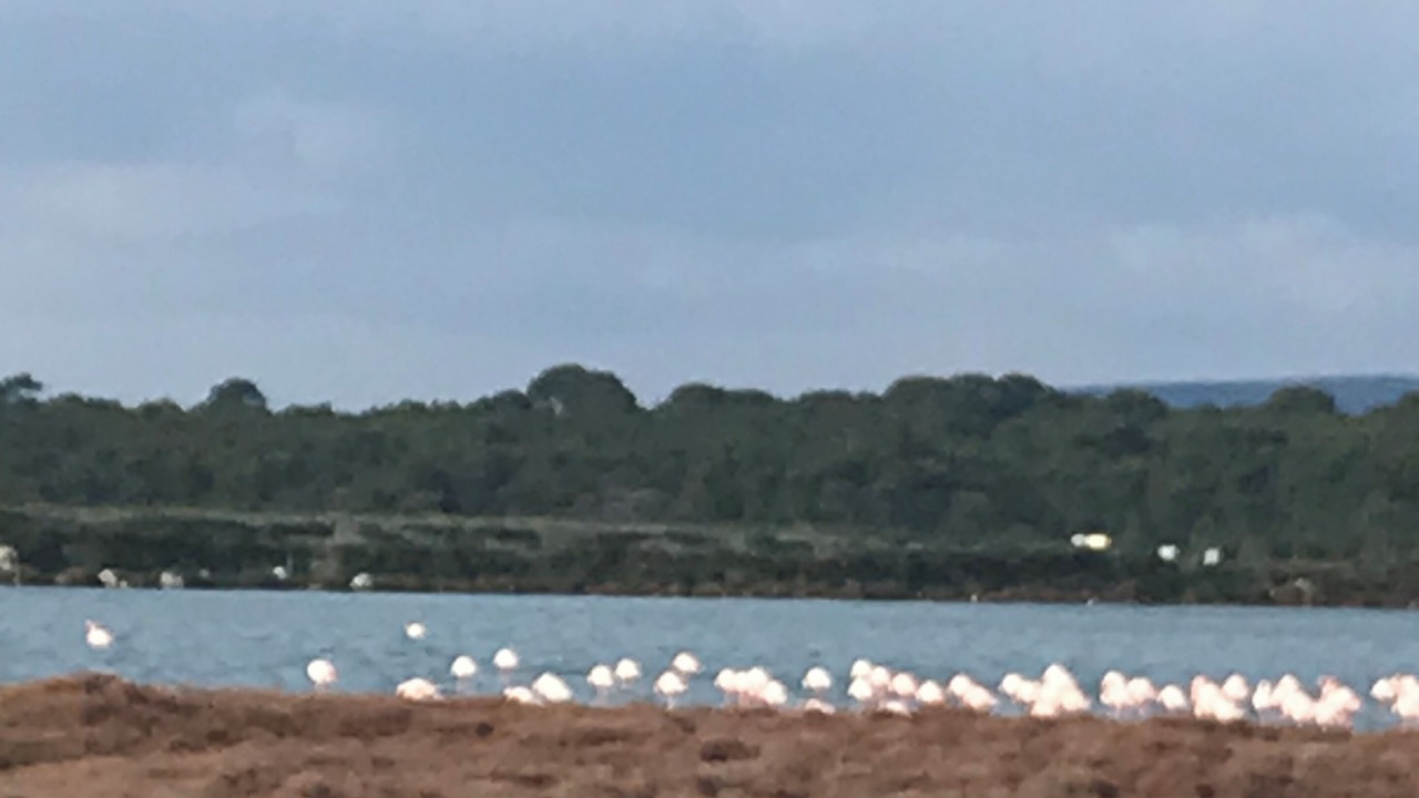 Photo of Others in Frontignan