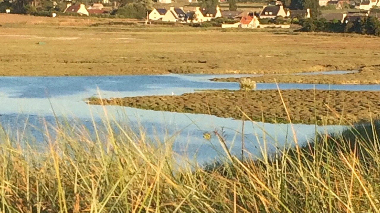 Photo of Others in Plounevez-Lochrist