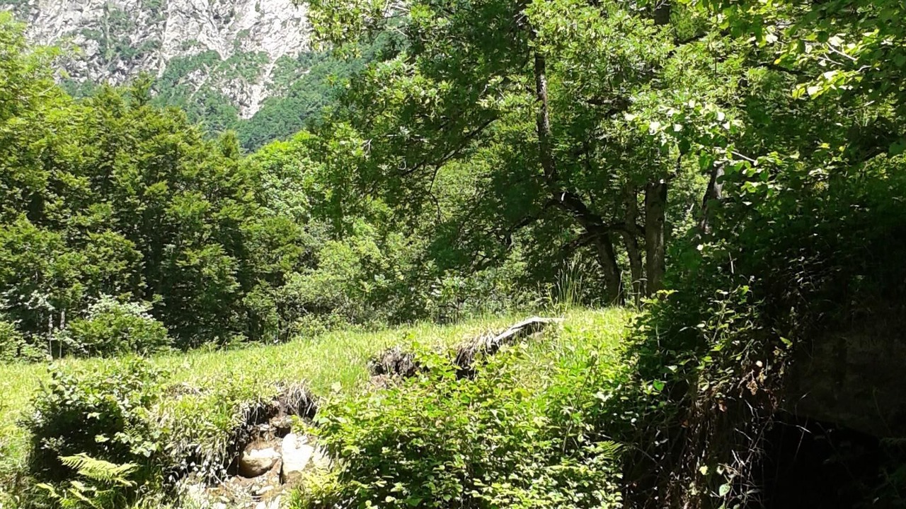 Photo of Outdoor in Orlu