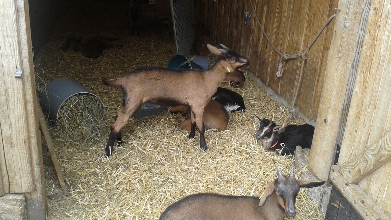 Photo of Others in Orlu