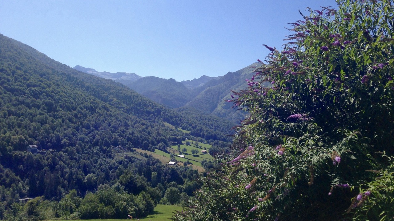 Photo of Outdoor in Eaux-Bonnes