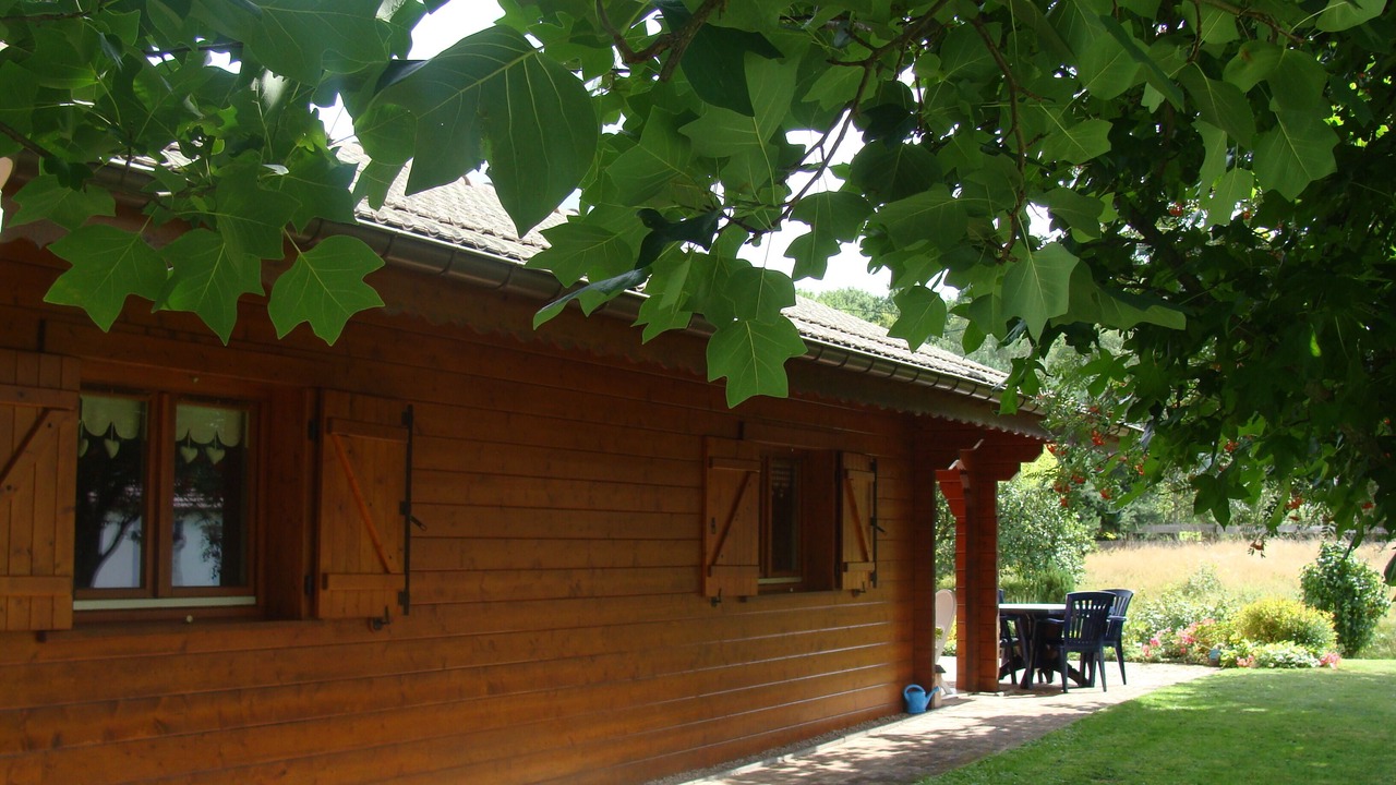 Photo of Outdoor in Taintrux