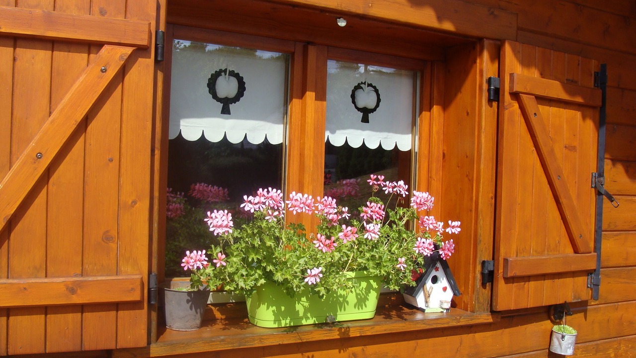 Photo of Outdoor in Taintrux