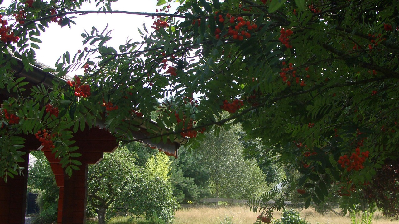 Photo of Outdoor in Taintrux