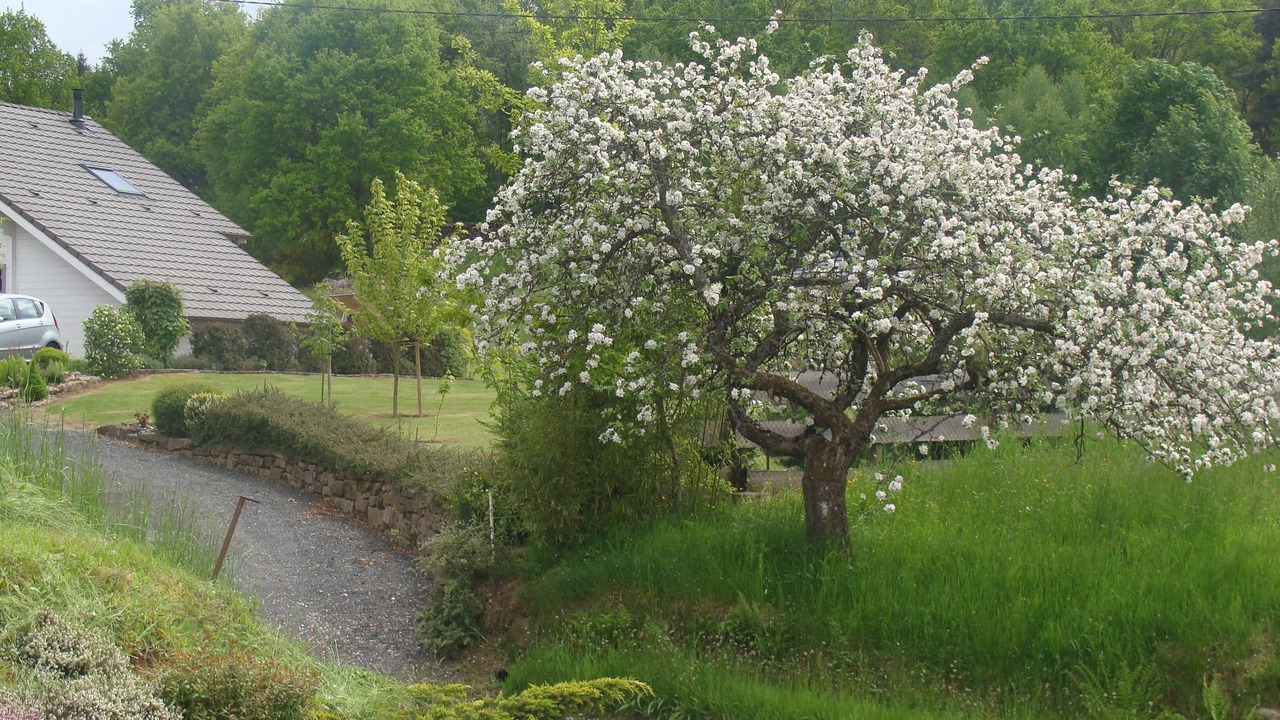 Photo of Outdoor in Taintrux