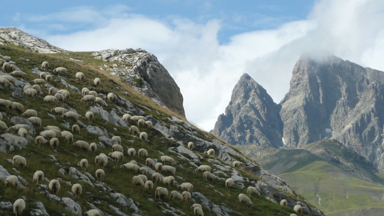 Photo of Outdoor in Esquieze-Sere