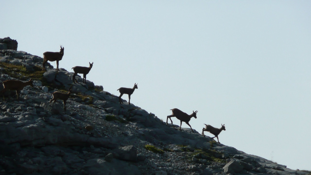 Photo of Outdoor in Esquieze-Sere