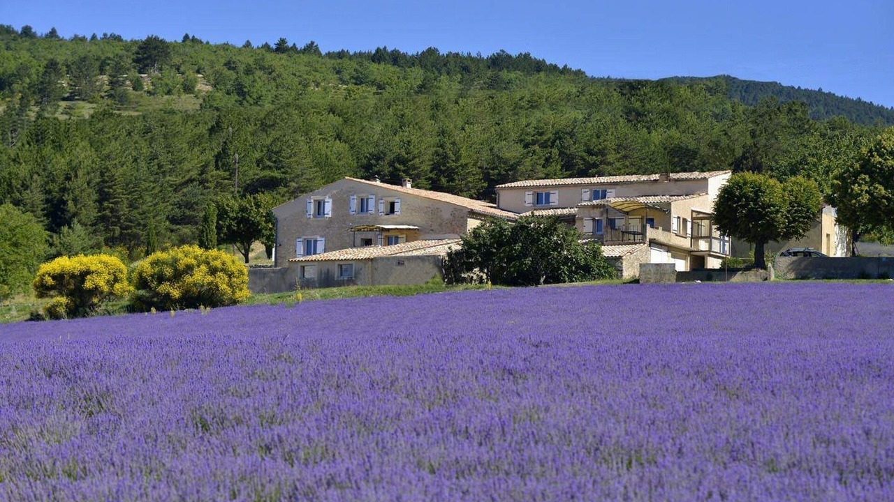 Photo of Outdoor in Aurel