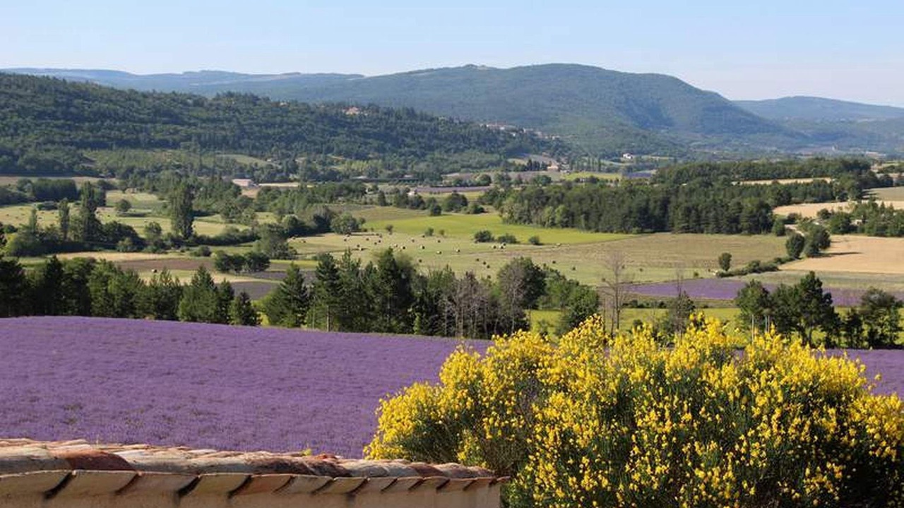 Photo of Others in Aurel