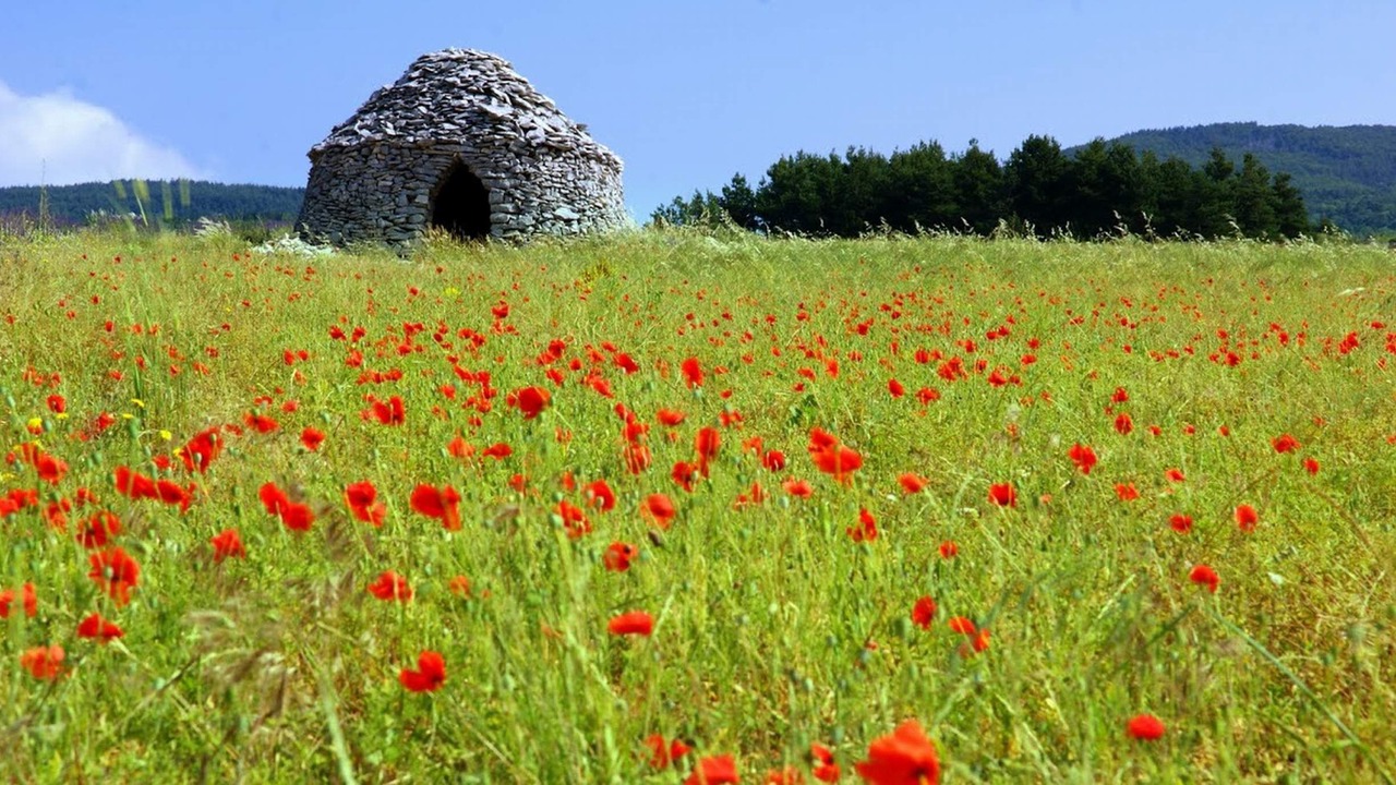 Photo of Others in Aurel