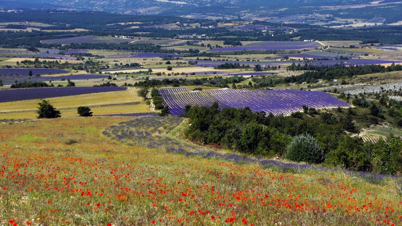 Photo of Outdoor in Aurel