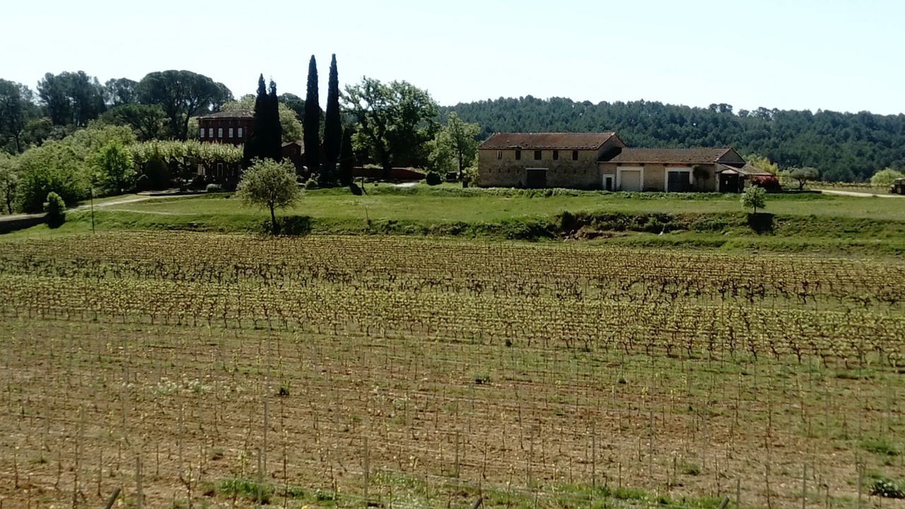 Photo of Outdoor in Le Val