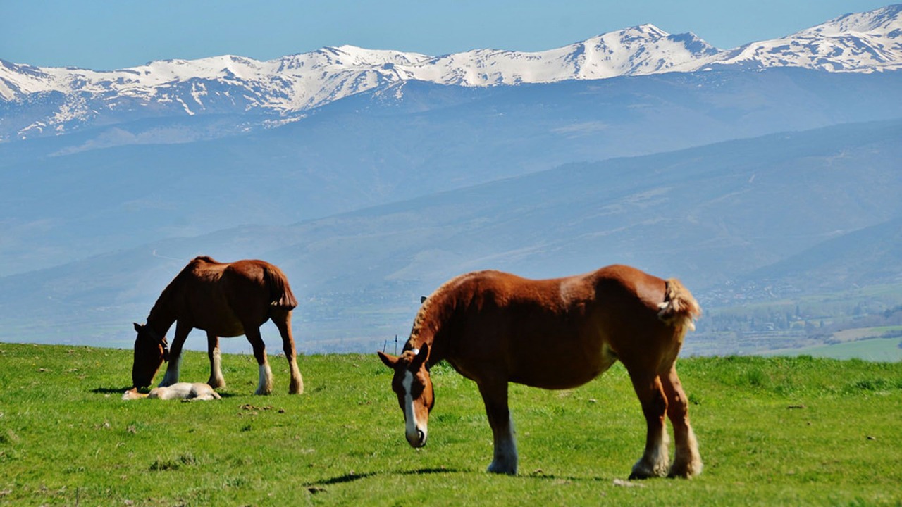 Photo of Outdoor in Saint-Pierre-dels-Forcats
