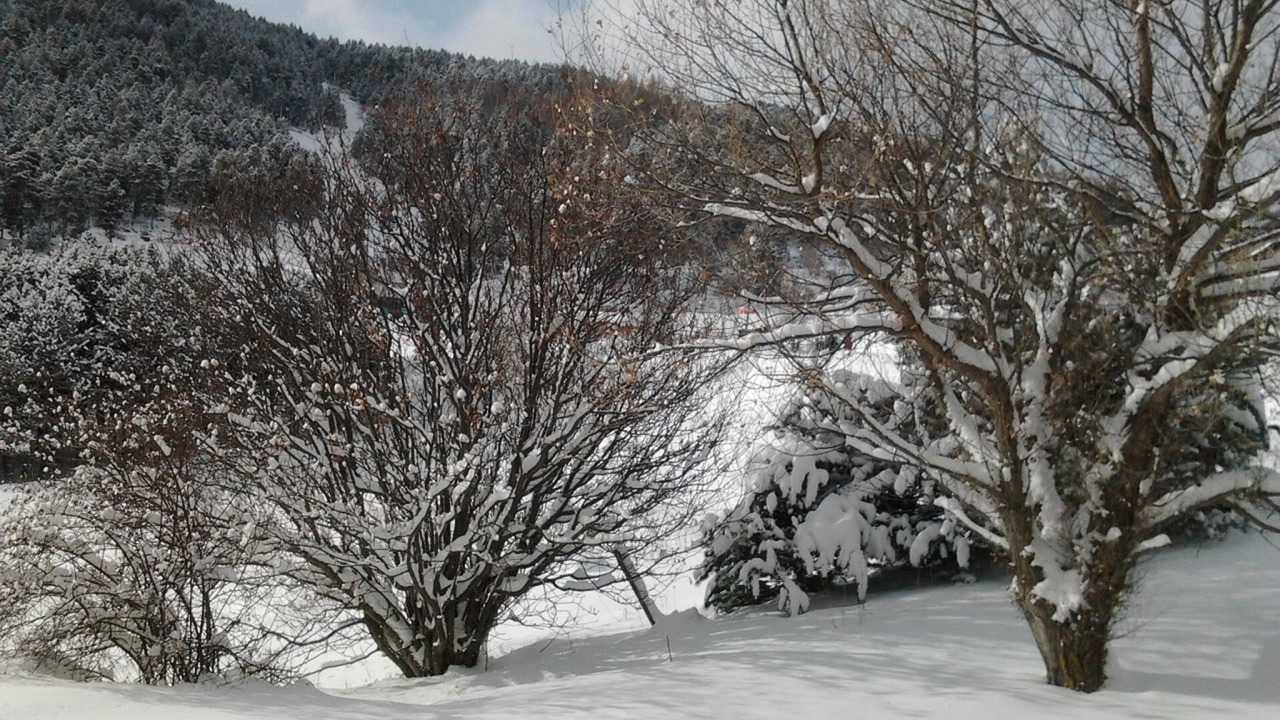 Photo of Outdoor in Saint-Pierre-dels-Forcats