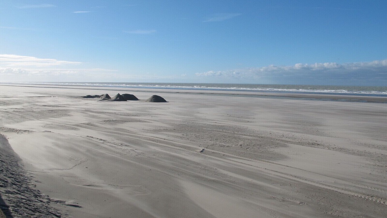 Photo of Others in Fort-Mahon-Plage