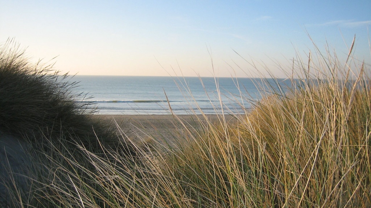 Photo of Others in Fort-Mahon-Plage