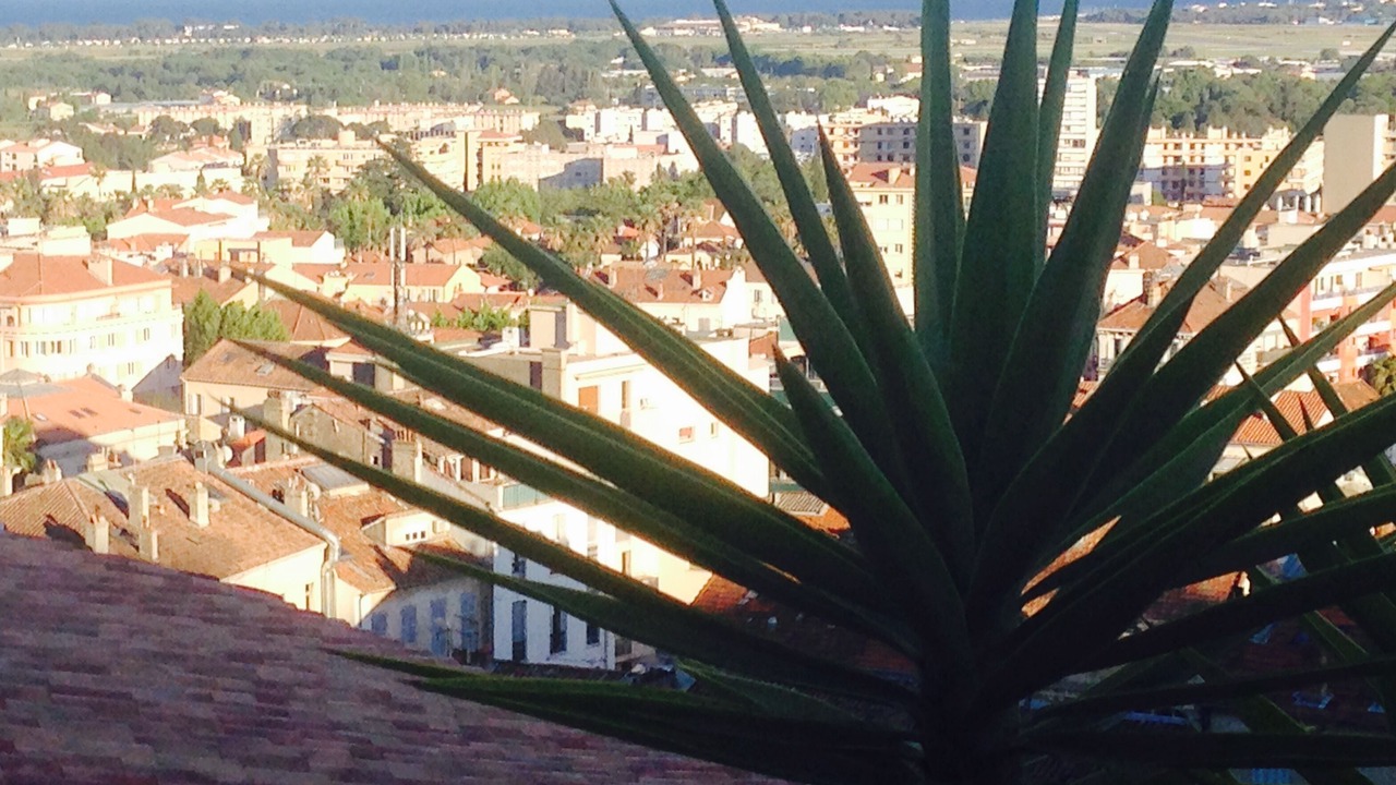 Photo of Others in Hyeres City Centre