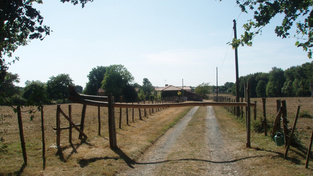 Photo of Outdoor in La Jaudonniere