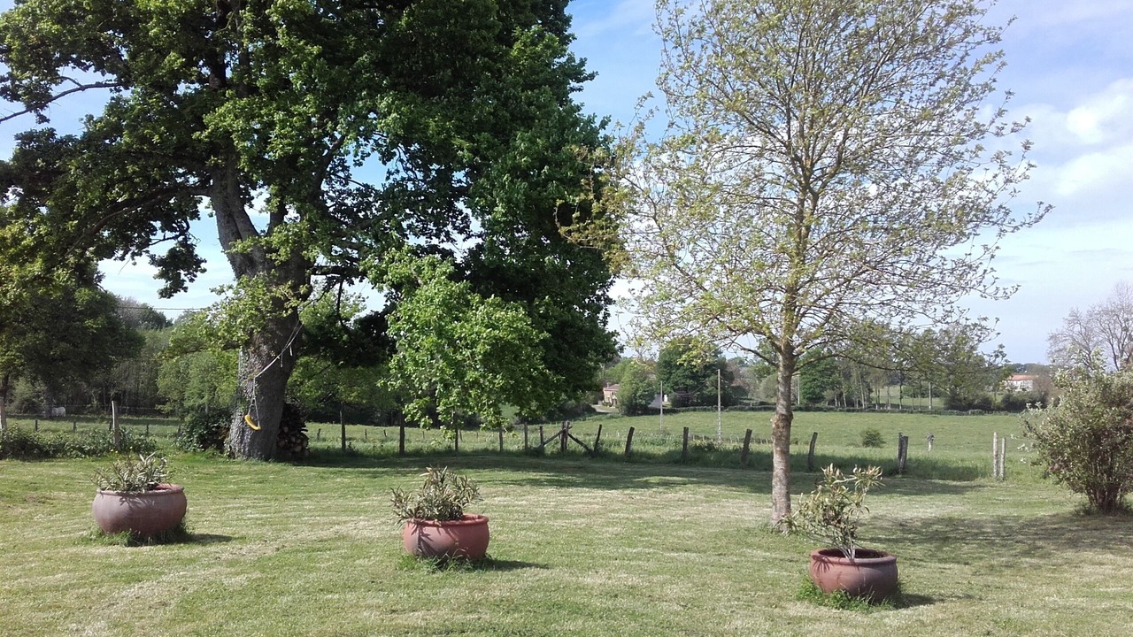 Photo of Outdoor in La Jaudonniere