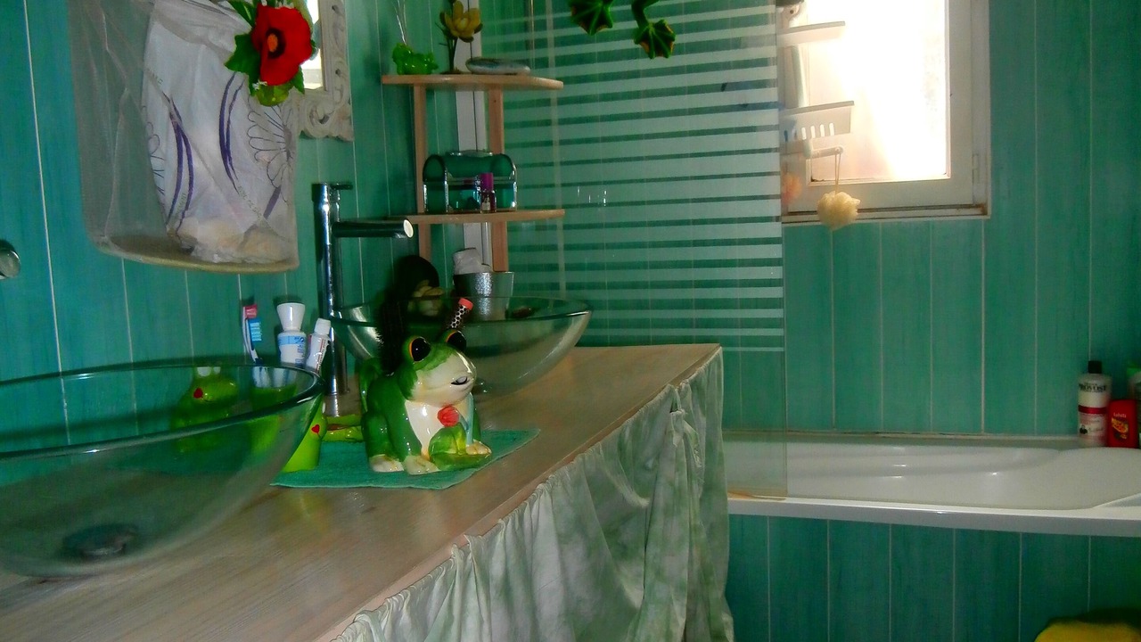 Photo of Bathroom in Labastide-Saint-Pierre