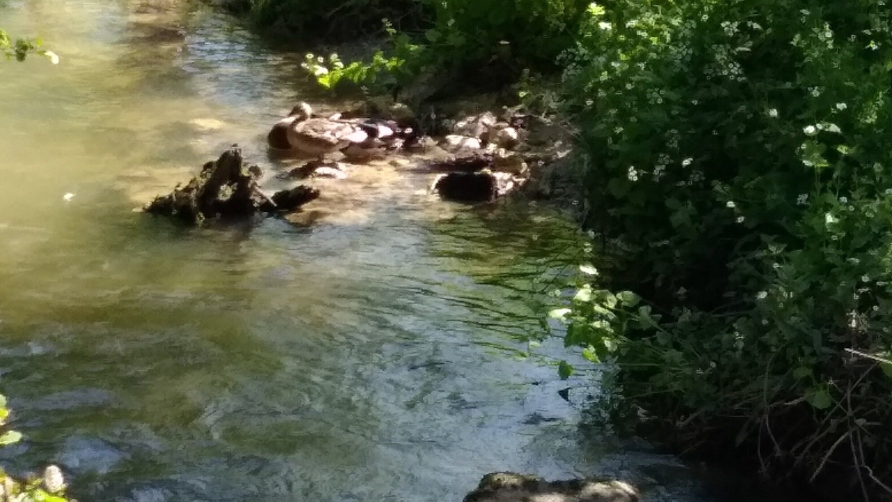 Photo of Outdoor in Ablon