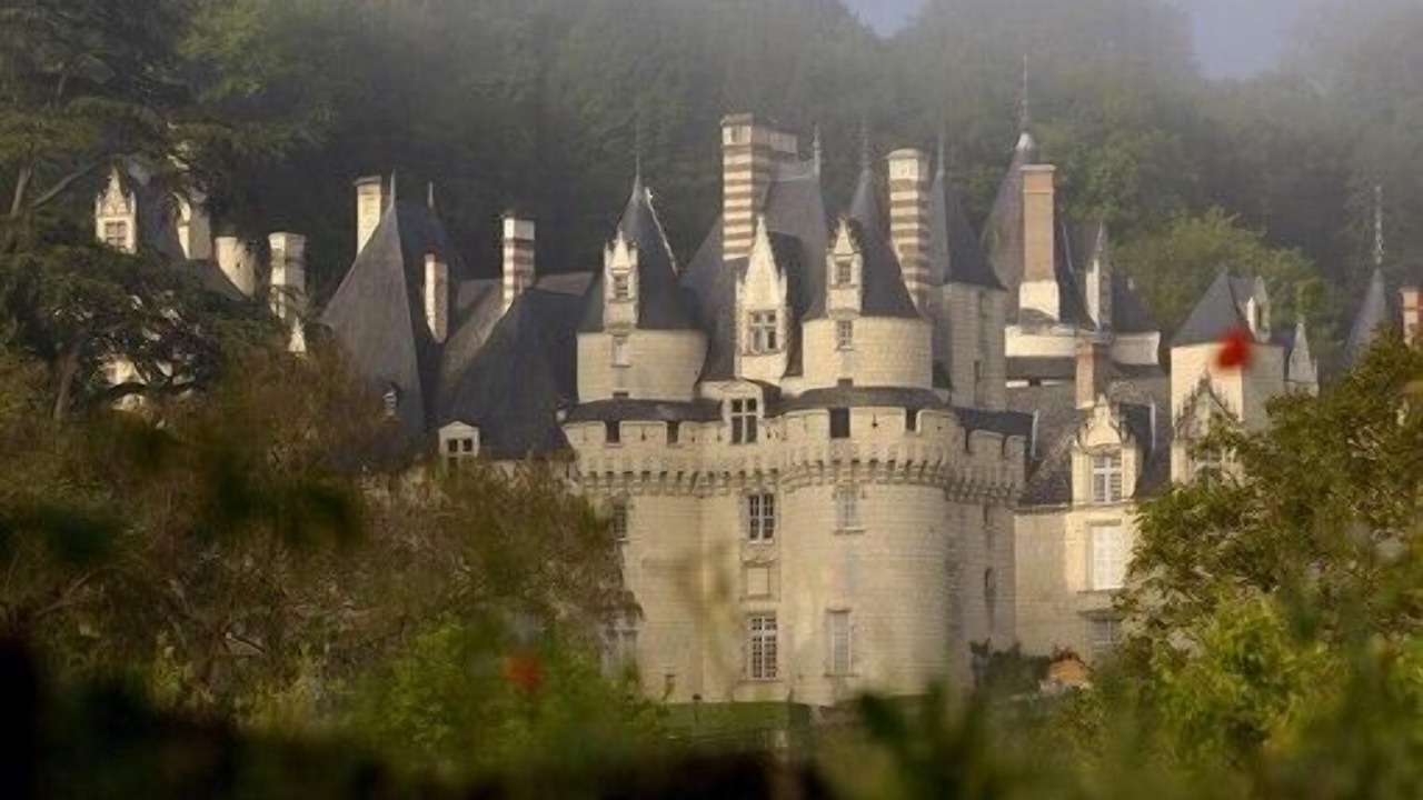 Photo of Outdoor in Lussault-sur-Loire
