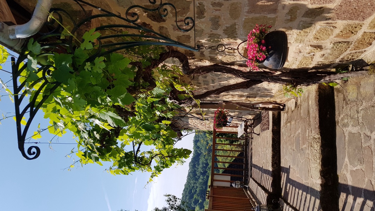 Photo of Outdoor in Noailhac