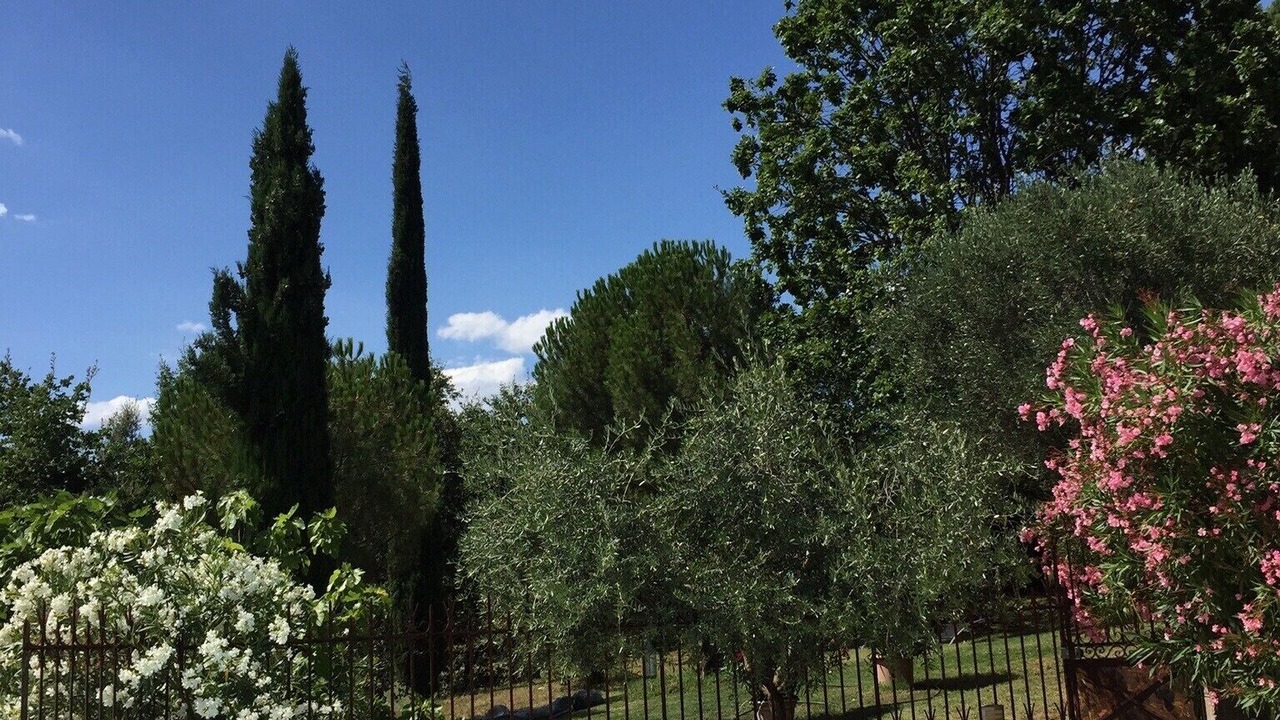 Photo of Outdoor in Chassiers
