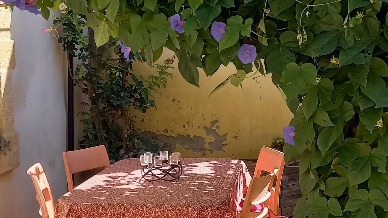 Photo of Outdoor in Pignan